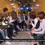 [세븐틴] 애들<b>저날</b>ㅋㄱㅋㄱㅋㄱㅋㄱㅋㄱㅋㅇ