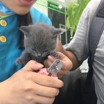 [EXO] ❤<b>심기</b>불편하냥