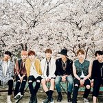 [방탄소년단] 아미는 <b>천사</b>다