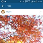 [드루와] 요즘 보면서 <b>힐링</b>되는 멍멍이jpg