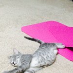 <b>문여</b>는 떡보