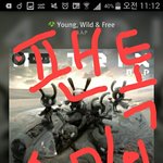 [BAP] 여기 팬 몇 명 있냐