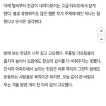 [팬픽] ㅈㅁ) 카1쓔 이거 어때?