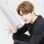 [EXO] 나 도배한다~ <b>정상팬</b> 인정?
