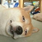 [방탄소년단] 공카 5분정도만 있다가오면