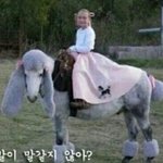 [방탄소년단] 왘ㅋㅋㅋㅋㅋㅋㅋㅋㅋ돌겠네