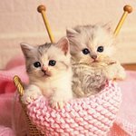 [EXO] <b>털실</b>코스프레냥