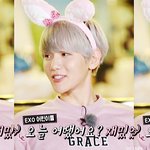 [백현] 세컨박스 백현 토끼큥