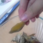[조언부탁해] 고구마 <b>말린</b>거 좋아하는사람~~~~~~