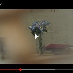 [방탄소년단] 뒷분인데 정국이랑 윤기사이알것같애