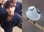 [존똑임] @@빅스 엔 새 닮았음ㅋㅋㅋㅋ