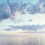 [ㅇㅇ] 외롭다