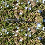 [유머북] 외모는 자신있는데 이름때문에 창피해요 