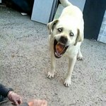 [드루와] 이<b>시간쯤</b> 생각나는 흑역사