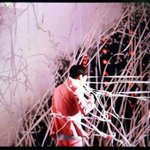 [EXO] 꽃가루 <b>테러</b>당한 엑소