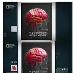 [유머북] 성관계를 꼭 해야하는 이유.jpg