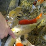 [동성] (동성)철부지 33