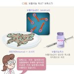 [건강] **성형 ‘미용시술’ 후 피부관리**