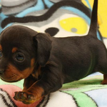 [EXO] 진짜 <b>민짜</b> 제외되는거야???