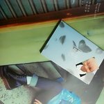 [방탄소년단] 다른아미들은