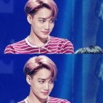 [EXO] 김종인 유스케머리 내가사랑함 ㅜㅠㅠㅠㅠ