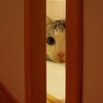 [EXO] 야 진짜 <b>감동</b>이다 너네? ㅅㅂ??