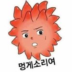 니네 혹시 <b>로망</b>같은거있닣ㄴㅎㅎㅎ