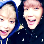 [팬픽] 뱈쓔?쓔빽?)얘네 요즘 귀여운데