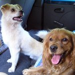 [훈이랑냥멍] 훈이란냥멍의 그동안의 이야기 - 안녕이라는 말