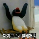 [EXO] 서가대때 갓<b>도라</b>도 해주겠지?