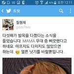 [방탄소년단] <b>지민</b>이다쳤다는데