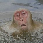 [꼭조언부탁] 조별 <b>ppt</b>발표 핵존망햇어 살려줘