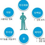 [다이어트] ** ‘6대 영양소’ 로 15Kg 살빼기 **