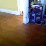 개웃김 ㅋㅋㅋㅋㅋ.<b>gif</b>