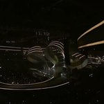 [엔터톡] 마마) 에프엑스도 텐미닛당함 ㅎ