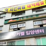 유기견을 위한 <b>팅커벨</b> 입양센터