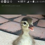 우리아빠가 나 <b>동심</b>파괴했어