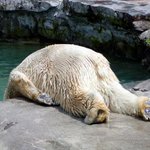 숙취해<b>소제</b> 하나 사러 가서 카베2 10개 사 온 이야기(Feat...