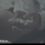 [모든팬덤] BTS 화양연화 궁예 4