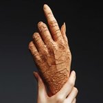 [건강] ** 겨울철 ‘건조한 손’의 노화를 막는 법 **