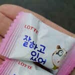 [방탄소년단] 이거 아미한테 꼭 보여주고싶었어!!