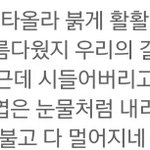 [방탄소년단] 와 진짜아무리들어도 고엽
