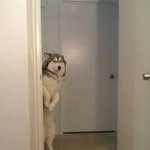 꿈에 엑소 카이하고 레코 <b>은비</b>리세나옴!!