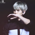 [EXO] 지금도배백현팬 꼭 약초<b>아줌마</b>같아 그만해