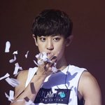[EXO] 새벽까지 애들사진으로 도배했던 사람도 <b>나임</b>ㅠ