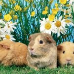 [EXO] 끝까지 지랄하더니 마지막엔 <b>본색</b>들어냄ㅋ