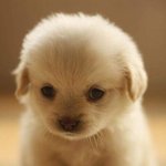 [EXO] 아까<b>도배</b>하던백현팬아 말투라도바꾸랬지