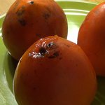 [소리먹방] <b>홍시</b>먹방