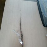 [헤어진후에]   떠난 그녀의  <b>체취</b>가  집 어디든 있어   생각이...