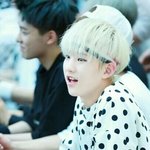 [세븐틴] 호시 춤출때